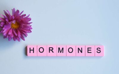 What are female hormones?