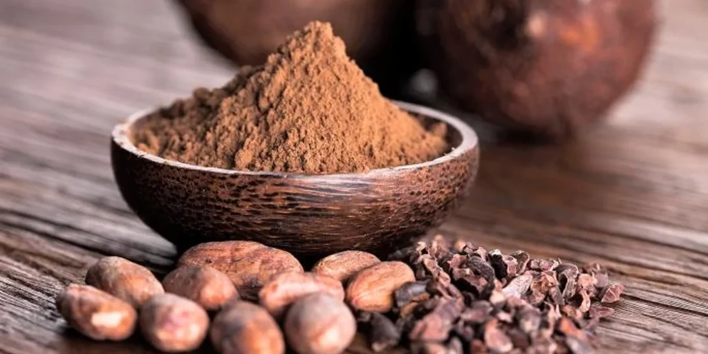 Moringa healthy hot chocolate and healthy hot cocoa recipe