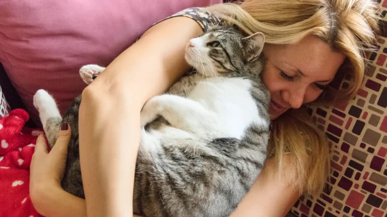 Life Without Kids - Woman cuddling her cat on the couch